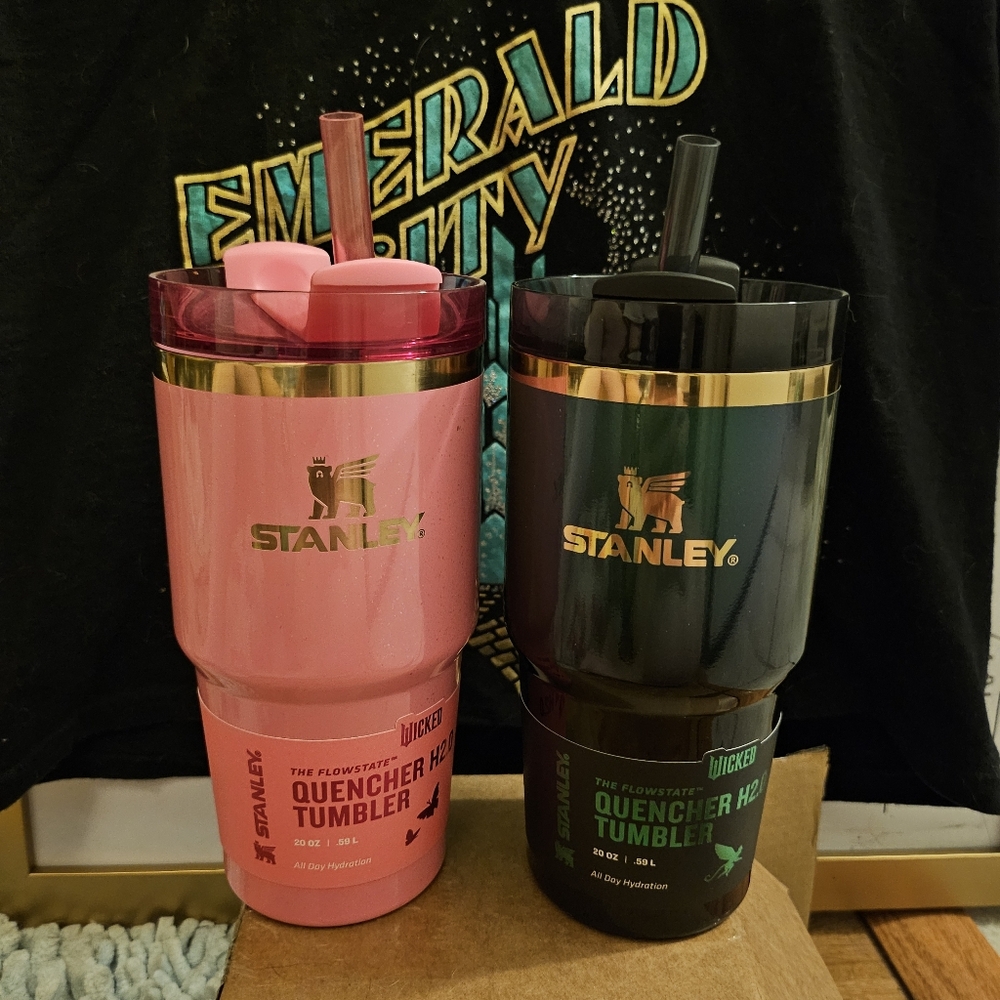 Set Of WICKED Stanley Quencher Tumblers 20oz